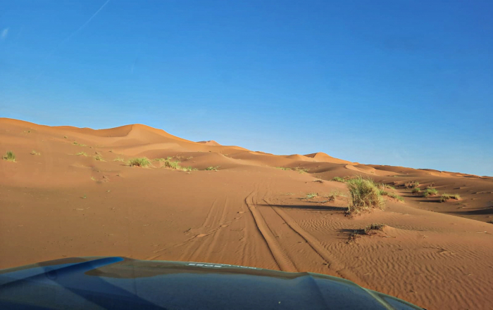 Zones de navigation dans les dunes au RallyClassics Africa